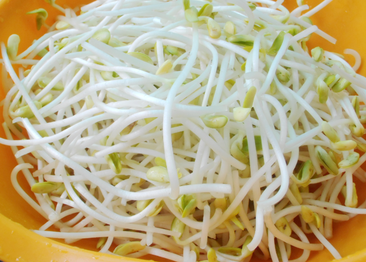 GERMOGLI DI SOIA 5KG 绿豆芽